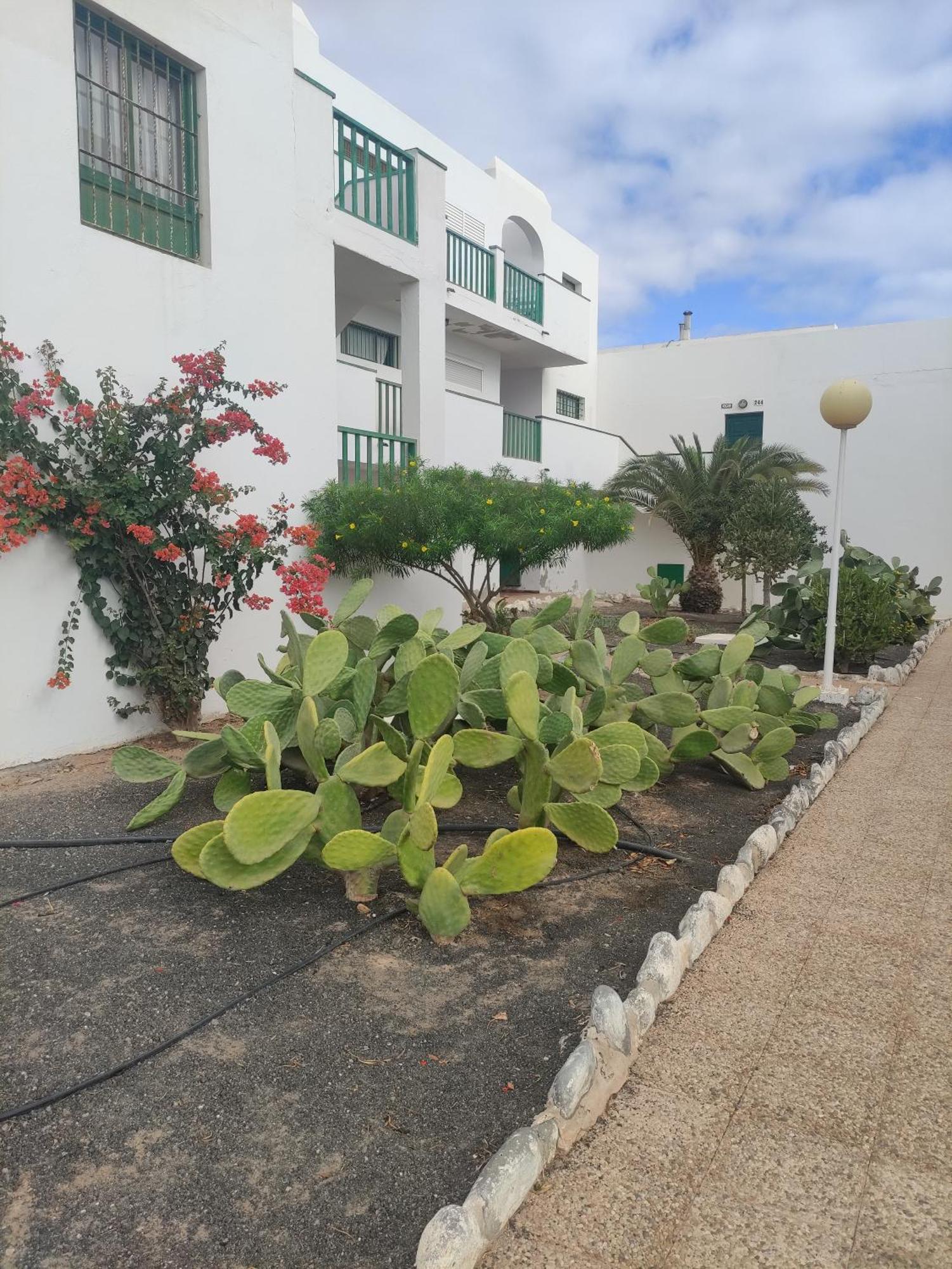 Casita Perla Blanca Costa De Antigua Exterior foto